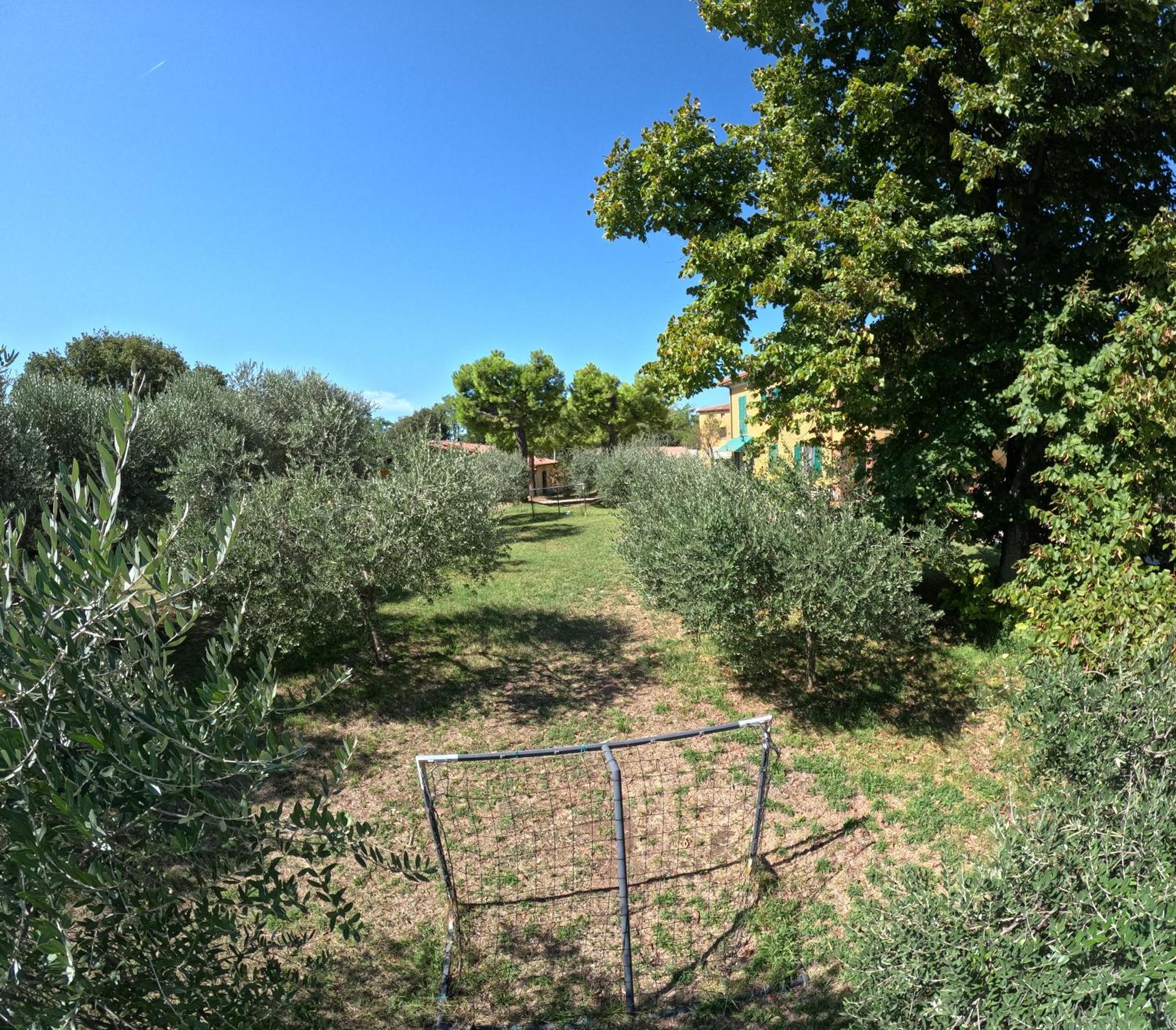 Agriturismo Gardenali Volta Mantovana Bagian luar foto