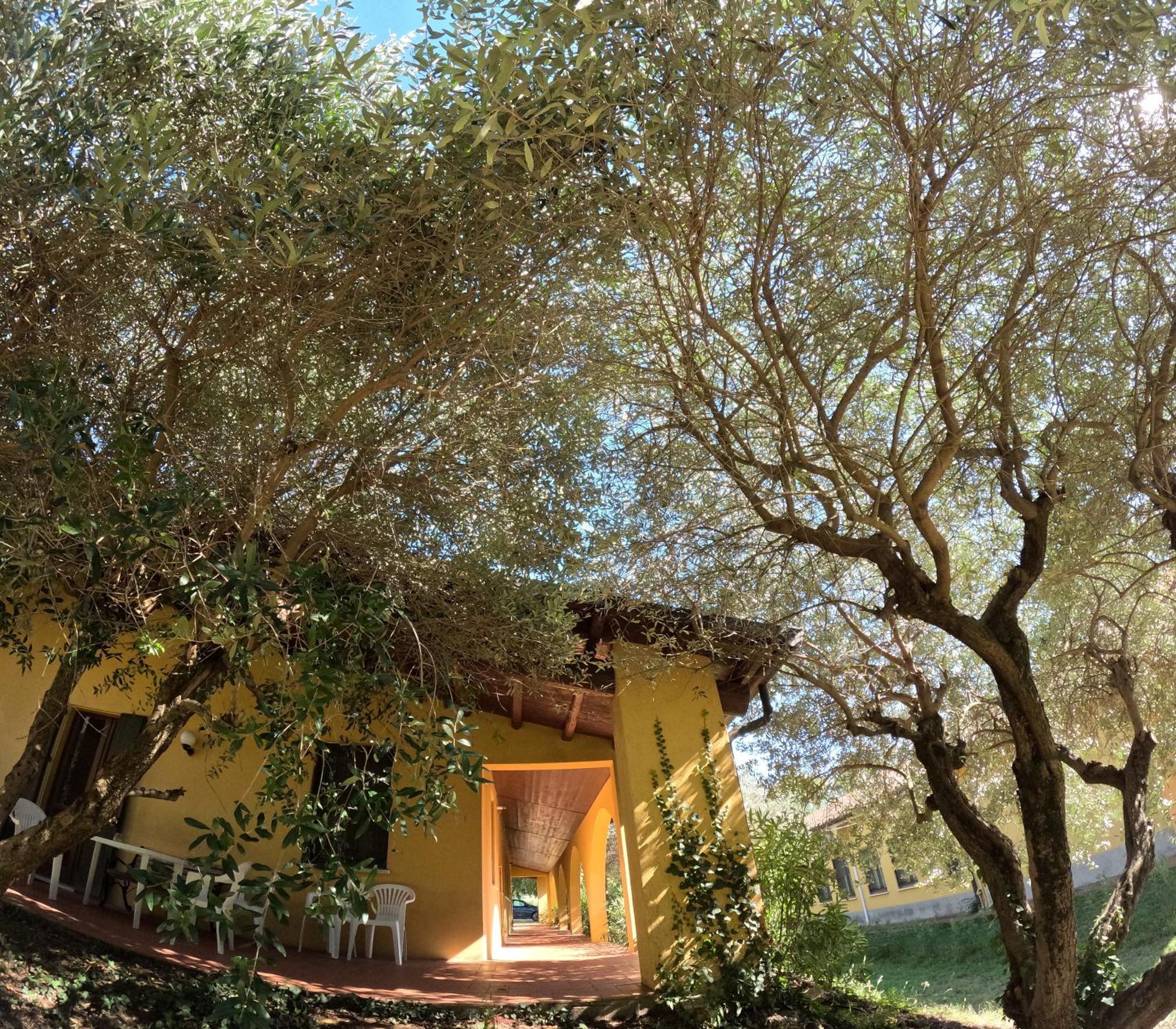 Agriturismo Gardenali Volta Mantovana Bagian luar foto